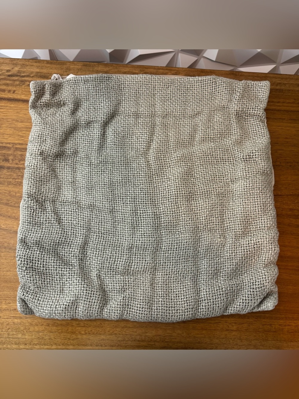 Pottery Barn decorative pillow color 18x18
